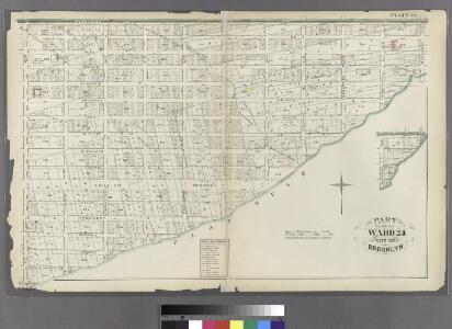 Plate 33: Part of Wards 23 & 25. City of Brooklyn.