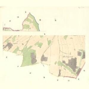 Reigersdorf (Reihartice) - m2576-1-005 - Kaiserpflichtexemplar der Landkarten des stabilen Katasters