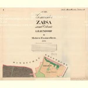 Zaisa - m0403-1-001 - Kaiserpflichtexemplar der Landkarten des stabilen Katasters