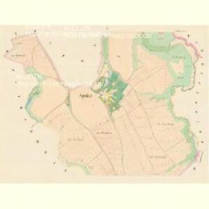 Spititz (Spitice) - c7188-1-002 - Kaiserpflichtexemplar der Landkarten des stabilen Katasters