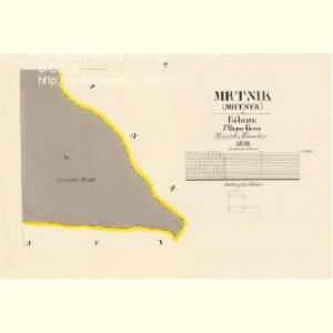 Mrtnik (Mrtnyk) - c4876-1-003 - Kaiserpflichtexemplar der Landkarten des stabilen Katasters
