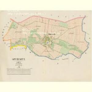 Oppatowitz - c5492-1-001 - Kaiserpflichtexemplar der Landkarten des stabilen Katasters