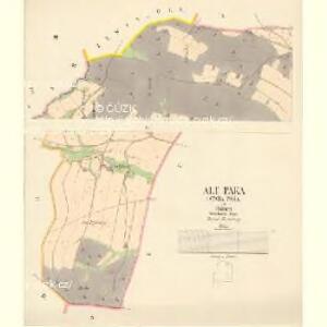 Alt Paka (Stara Paka) - c7245-1-002 - Kaiserpflichtexemplar der Landkarten des stabilen Katasters