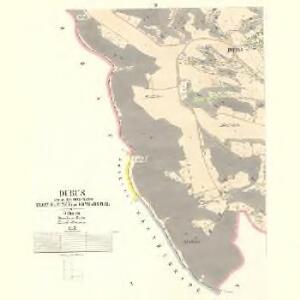 Dubus - c8089-1-002 - Kaiserpflichtexemplar der Landkarten des stabilen Katasters