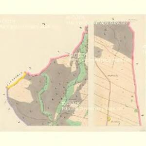 Kunwald - c3723-1-006 - Kaiserpflichtexemplar der Landkarten des stabilen Katasters