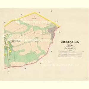 Ziegenfuss - c3747-3-002 - Kaiserpflichtexemplar der Landkarten des stabilen Katasters