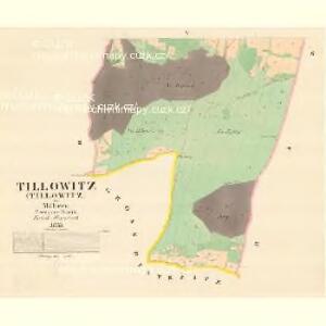 Tillowitz (Tillowitz) - m3182-1-004 - Kaiserpflichtexemplar der Landkarten des stabilen Katasters