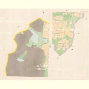 Schalmanowitz - c7695-1-008 - Kaiserpflichtexemplar der Landkarten des stabilen Katasters