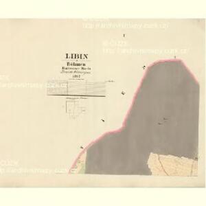 Libin - c4013-1-001 - Kaiserpflichtexemplar der Landkarten des stabilen Katasters