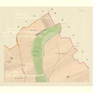 Bilowitz (Bilowice) - m0089-1-002 - Kaiserpflichtexemplar der Landkarten des stabilen Katasters