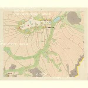 Lidmann - c4076-1-005 - Kaiserpflichtexemplar der Landkarten des stabilen Katasters