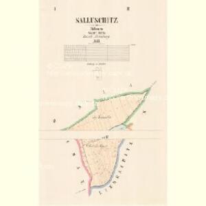 Salluschitz - c9134-1-001 - Kaiserpflichtexemplar der Landkarten des stabilen Katasters
