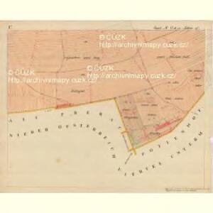 Neu Prerau - m2082-1-005 - Kaiserpflichtexemplar der Landkarten des stabilen Katasters