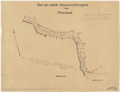 Wald, Fischenthal, Goldingen SG: Waldungen: Wald: Staatswaldung am Tössstock mit Bruederegg und Tösswald; Grundriss