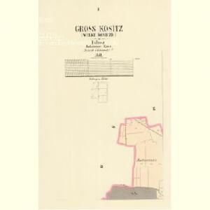Gross Kositz (Welky Kosicze) - c3353-1-001 - Kaiserpflichtexemplar der Landkarten des stabilen Katasters