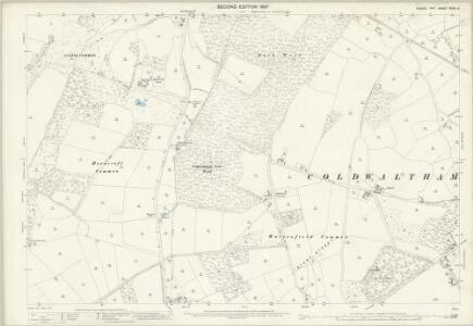 Sussex XXXVI.9 (includes: Bury; Coldwaltham; Fittleworth) - 25 Inch Map