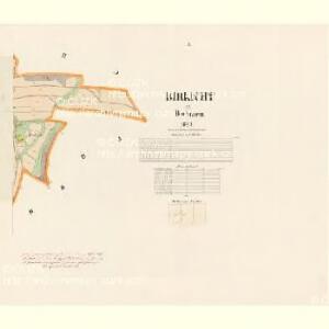 Birkicht - c0594-1-002 - Kaiserpflichtexemplar der Landkarten des stabilen Katasters