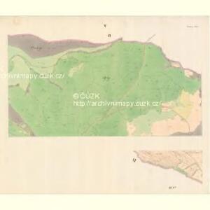 Bilnitz - m0305-1-004 - Kaiserpflichtexemplar der Landkarten des stabilen Katasters