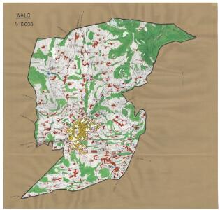 Wald: Definition der Siedlungen für die eidgenössische Volkszählung am 01.12.1950; Siedlungskarte