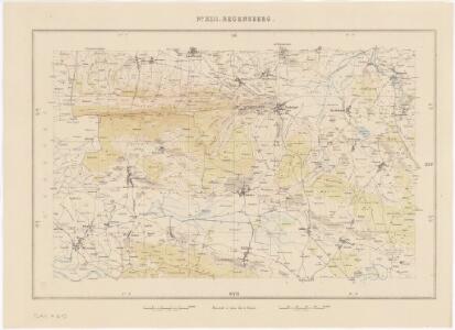 Topographische Karte des Kantons Zürich (Wild-Karte): Blatt XIII: Regensberg