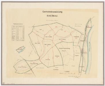 Rheinau: Gemeinde-, Kloster- und Genossenschaftswaldungen: Gemeindewaldungen; Übersichtsplan