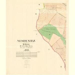 Nesdenitz - m1972-1-003 - Kaiserpflichtexemplar der Landkarten des stabilen Katasters