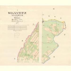 Wigantitz (Wigantitz) - m3399-1-001 - Kaiserpflichtexemplar der Landkarten des stabilen Katasters