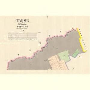 Tabor - m3080-1-001 - Kaiserpflichtexemplar der Landkarten des stabilen Katasters