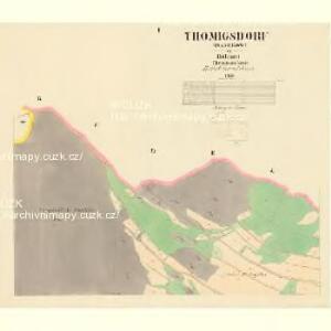 Thomigsdorf (Damikow) - c1064-1-001 - Kaiserpflichtexemplar der Landkarten des stabilen Katasters