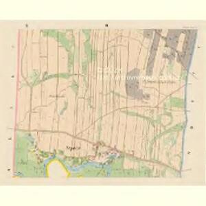 Nepasitz (Nepasice) - c5035-1-002 - Kaiserpflichtexemplar der Landkarten des stabilen Katasters