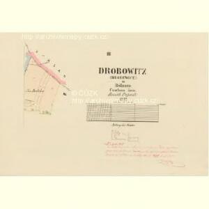 Drobowitz (Drobowice) - c1536-1-003 - Kaiserpflichtexemplar der Landkarten des stabilen Katasters