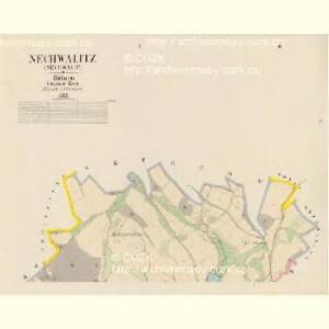 Nechwalitz (Nechwalic) - c5014-1-001 - Kaiserpflichtexemplar der Landkarten des stabilen Katasters