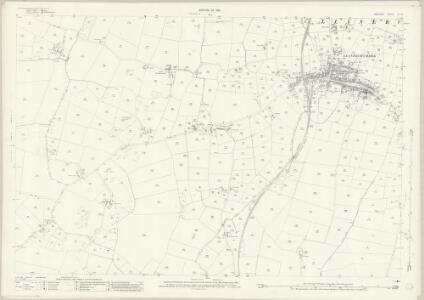 Anglesey VII.13 (includes: Coedana; Llannerch Y Medd; Llantrisant; Llechgynfarwy; Rhodogeidio) - 25 Inch Map