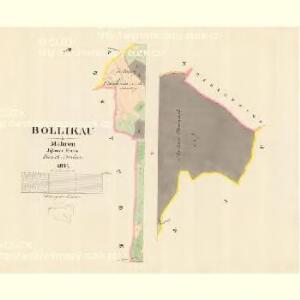 Bollikau - m0768-2-004 - Kaiserpflichtexemplar der Landkarten des stabilen Katasters