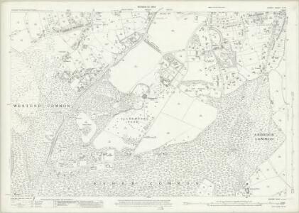 Surrey XII.14 (includes: Esher) - 25 Inch Map
