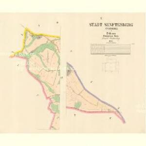 Senftenberg (Žamberk) - c9334-1-009 - Kaiserpflichtexemplar der Landkarten des stabilen Katasters