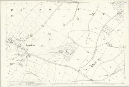 Hampshire and Isle of Wight LI.3 (includes: Bramdean) - 25 Inch Map