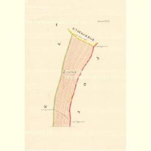 Wessek (Wesek) - m3370-1-001 - Kaiserpflichtexemplar der Landkarten des stabilen Katasters