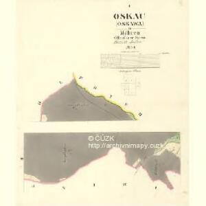 Oskau (Oskawa) - m2174-1-001 - Kaiserpflichtexemplar der Landkarten des stabilen Katasters
