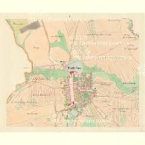 Battelau - m0040-1-005 - Kaiserpflichtexemplar der Landkarten des stabilen Katasters
