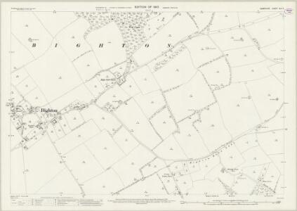 Hampshire and Isle of Wight XLII.3 (includes: Bighton; Bishops Sutton; Old Alresford) - 25 Inch Map