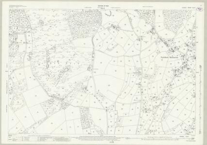 Dorset XLIII.1 (includes: Lytchett Matravers; Morden) - 25 Inch Map