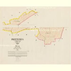Przitschina (Prziczina) - c6234-1-003 - Kaiserpflichtexemplar der Landkarten des stabilen Katasters
