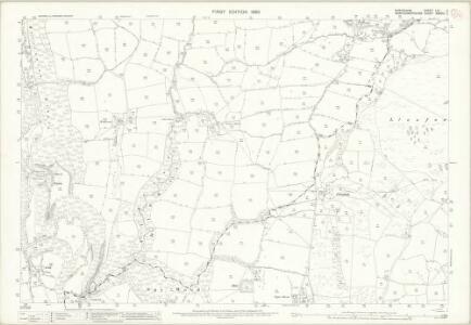 Shropshire LIV.2 (includes: Chirbury; Church Stoke) - 25 Inch Map