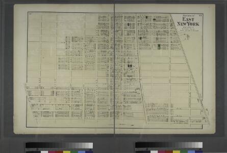Portion of East New York. New Lots Tn. Kings Co. L.I. [Truxton Street to Bay Avenue, Hopkinson avenue to Butler Avenue.]