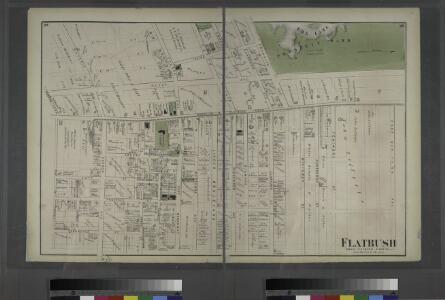 Flatbush. Town of Flatabush, Kings Co. L.I. - Prospect Park.