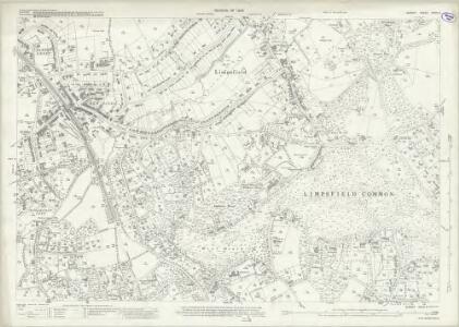 Surrey XXVIII.9 (includes: Limpsfield; Oxted) - 25 Inch Map