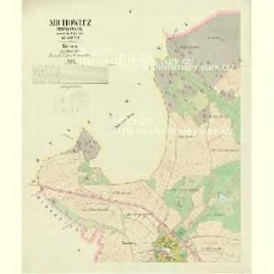Michowitz (Michowice) - c4779-1-004 - Kaiserpflichtexemplar der Landkarten des stabilen Katasters