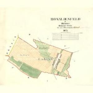 Rosalienfeld - m2613-1-001 - Kaiserpflichtexemplar der Landkarten des stabilen Katasters