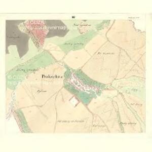 Prakschitz (Prakssice) - m2400-1-003 - Kaiserpflichtexemplar der Landkarten des stabilen Katasters